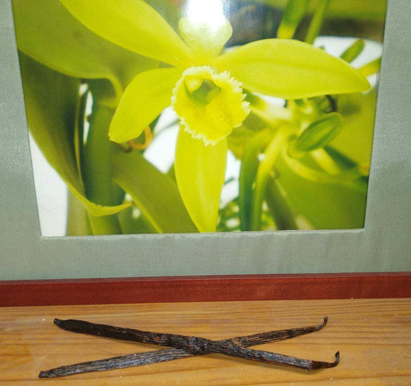 Vanilla Beans